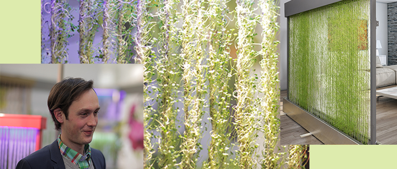 Vertical-Gardening-green-curtain-Niklas-Weisel-4