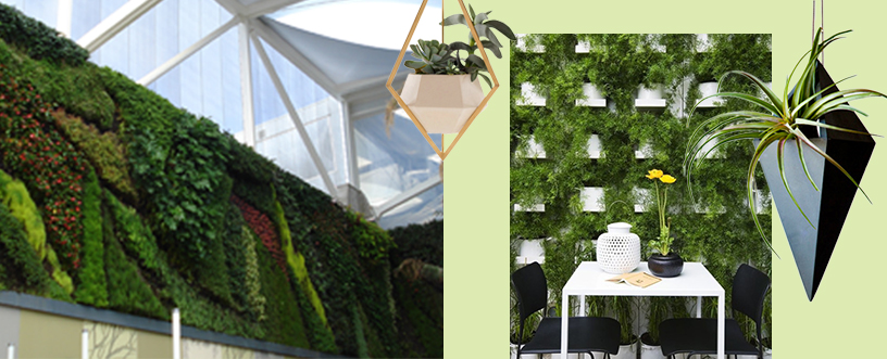 Vertical-Gardening-Grüner-Wand-Patrick-Blanc-2